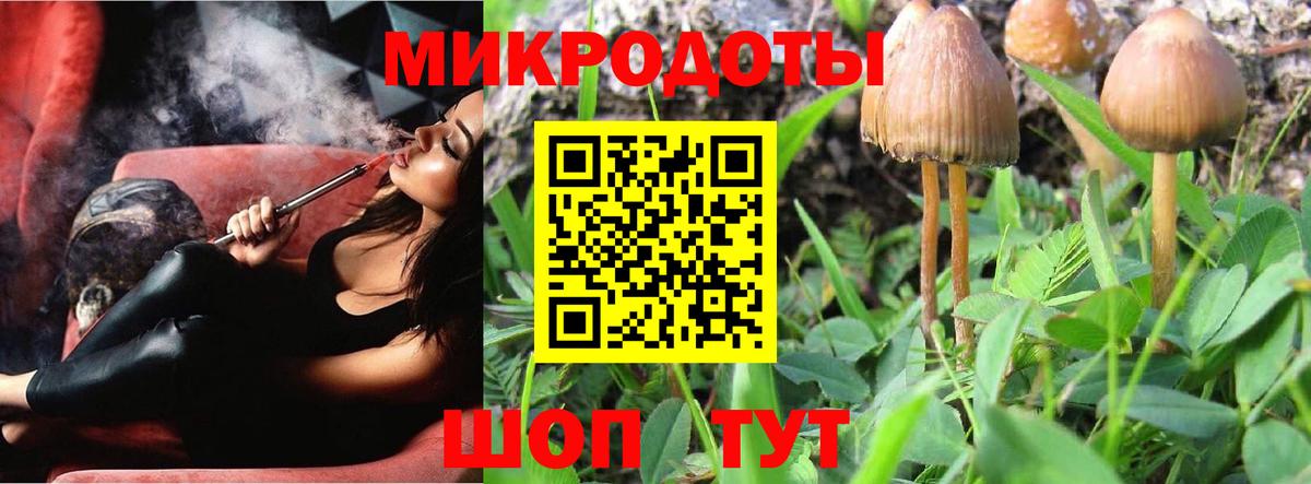 Псилоцибиновые грибы мухоморы  купить наркотик  Тобольск  Вход с VPN  Псилоцибиновые грибы Psilocybine cubensis 