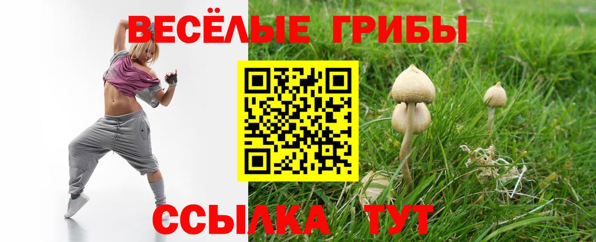 Галлюциногенные грибы MAGIC MUSHROOMS Тобольск